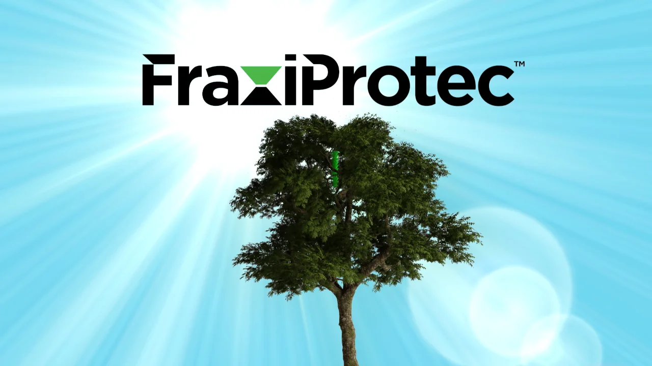 FraxiProtec – Votre allié naturel contre l’agrile du frêne