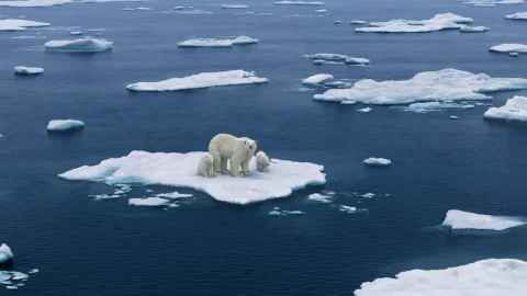 Votre force de frappe pour la transition énergétique mondiale